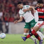 Jogadores de Palmeiras e Flamengo em partida de futebol