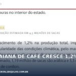 Quadro oficial da Conab sobre a safra de café de 2026 na Bahia
