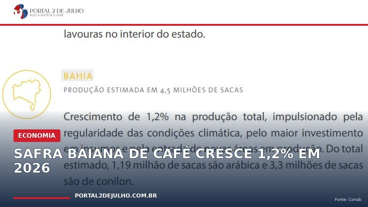 Quadro oficial da Conab sobre a safra de café de 2026 na Bahia