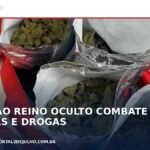 Drogas e materiais apreendidos pela Polícia Civil na Operação Reino Oculto