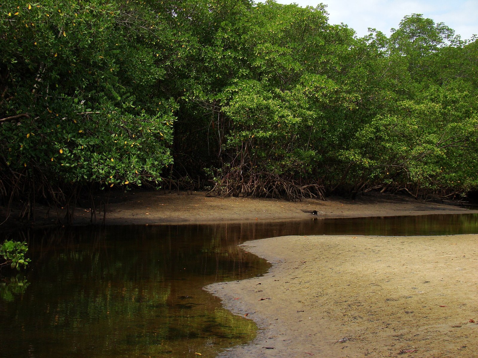 Trecho do rio Jacuípe com manguezal e faixa de areia em Barra do Jacuípe, distrito de Camaçari